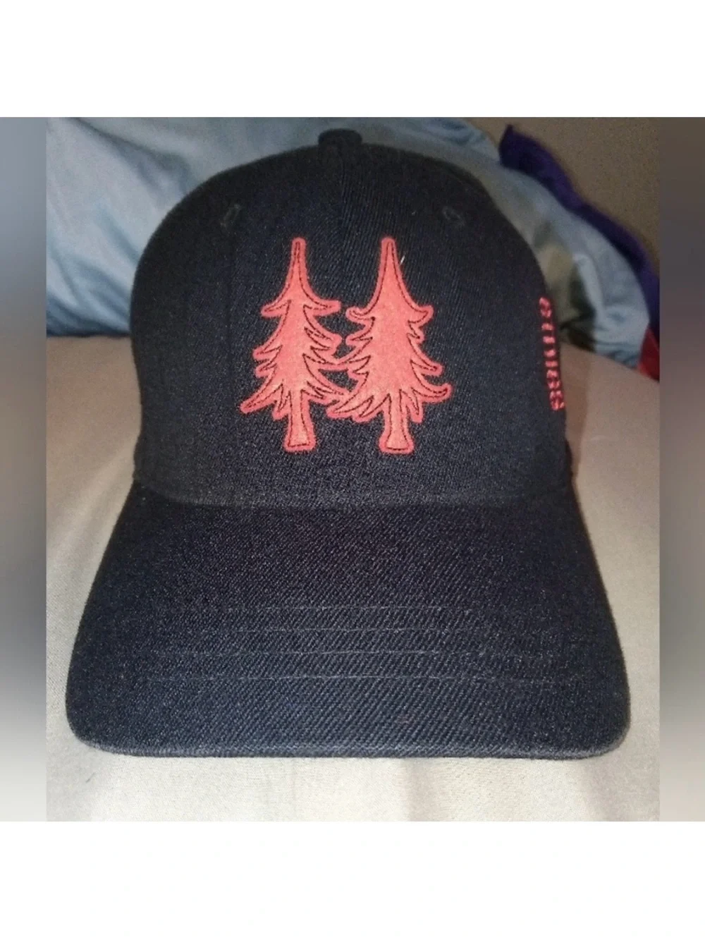 Etnies Skateboards Cap Black + Red RETRO Flexfit Hat Arto Saari Logo